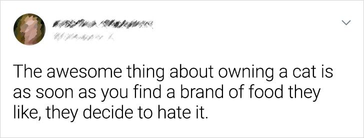 907977504fbbace1bdb362713f