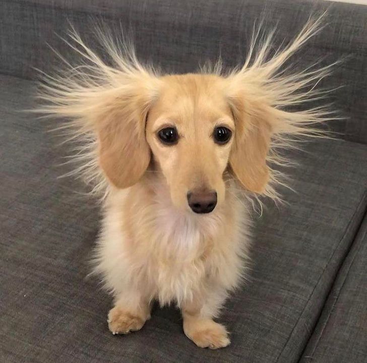 907c84584b977f583fe42d50dd