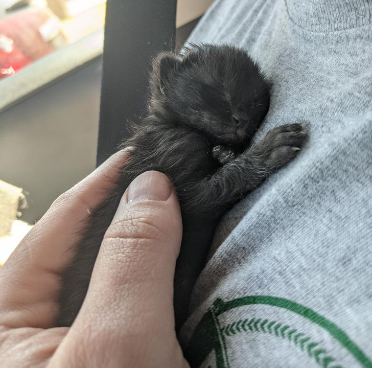 90814f5c1daf3e655ae6f8c83c 90814f5c1daf3e655ae6f8c83c