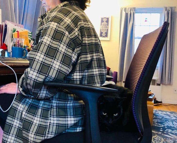 90880359179ae02168f23659d7