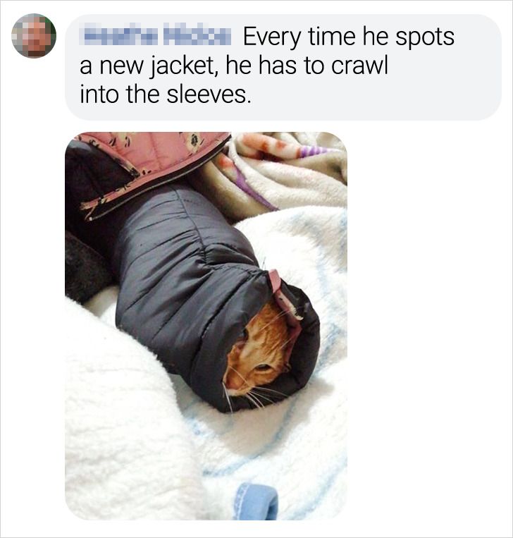 90886457efa070979edf785cb4