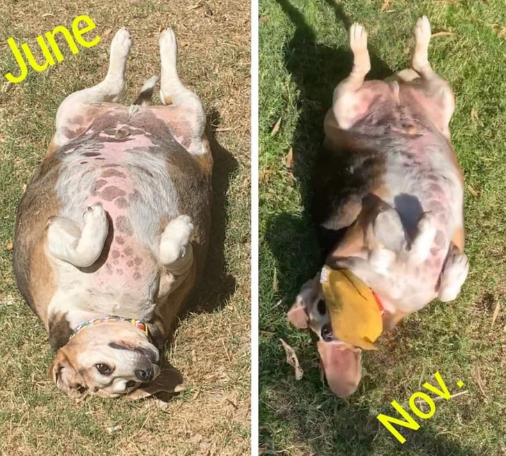 9088ea5c68ae12061281b986a0