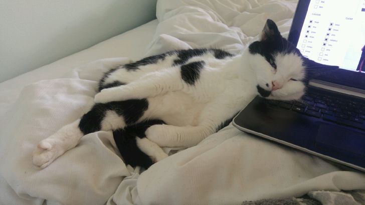 908f2b5f46a6439a0896b0918e