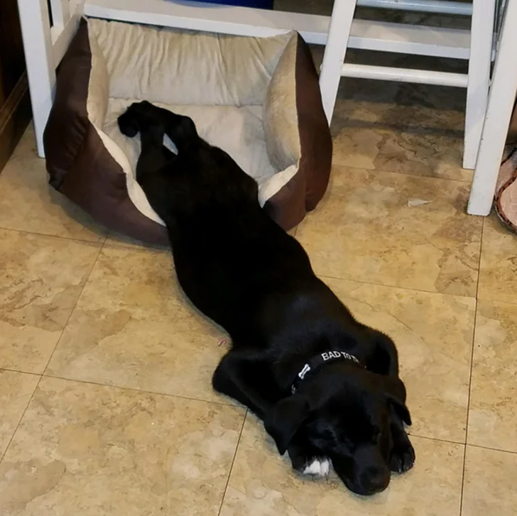 908fd2574fa297a2a52569665a