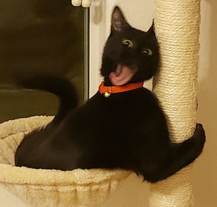 90a46b59dd8ff751a6d24c8ccf