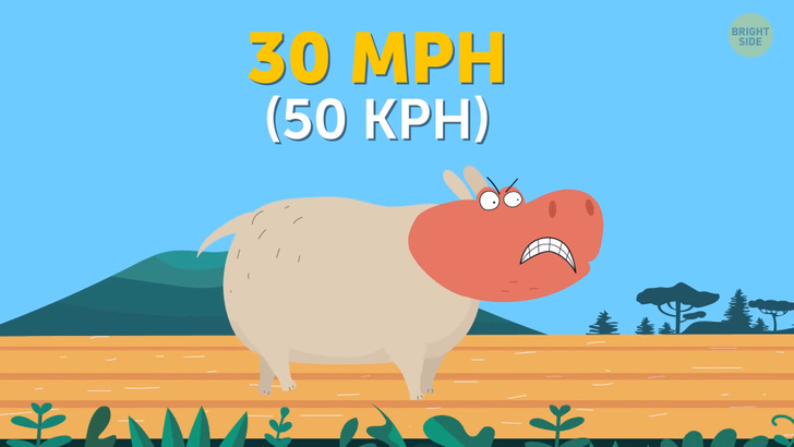 90a5595f24a0703b8441761148 90a5595f24a0703b8441761148