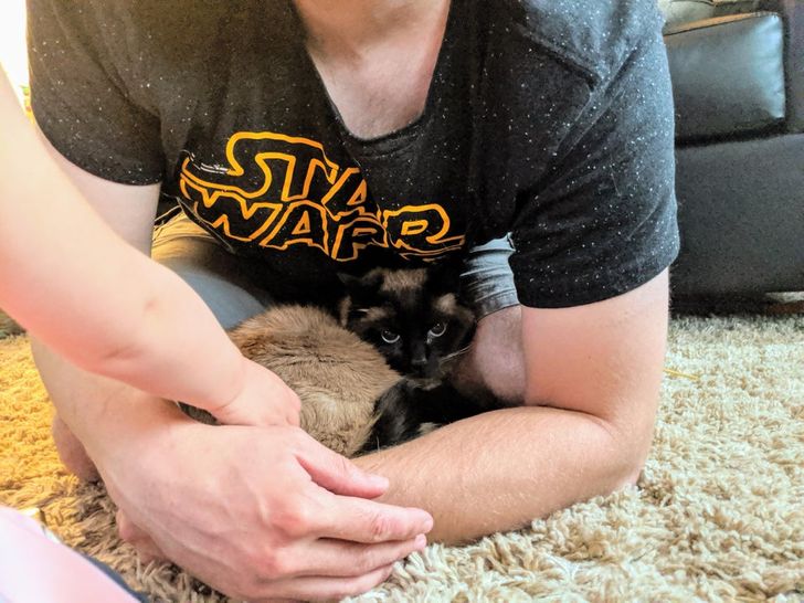 90a83f581a9ff1592ee0bb979e