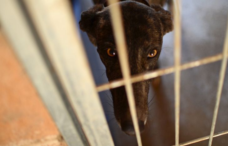 90ab5c5b6aa1871d7e8af0bb8e