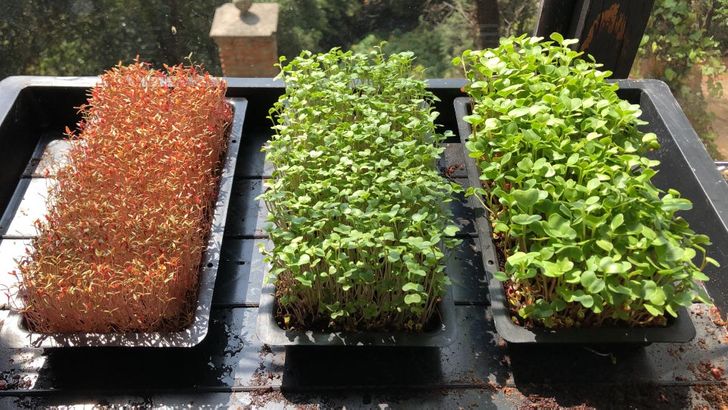 90ac1b5a7088f4415a2b5913b1