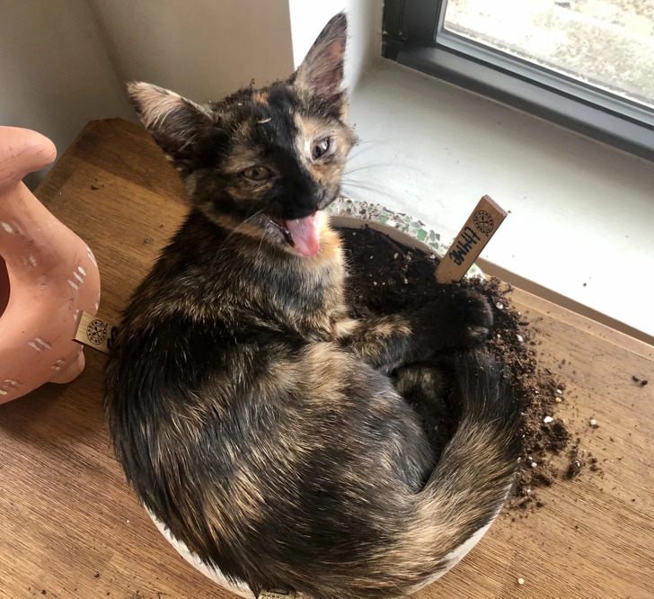 90ad305e16bca1539bc8c16750 90ad305e16bca1539bc8c16750