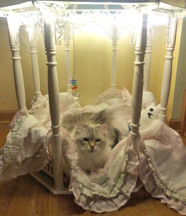 90b2ca5b30a8e0b697ade6b7a6