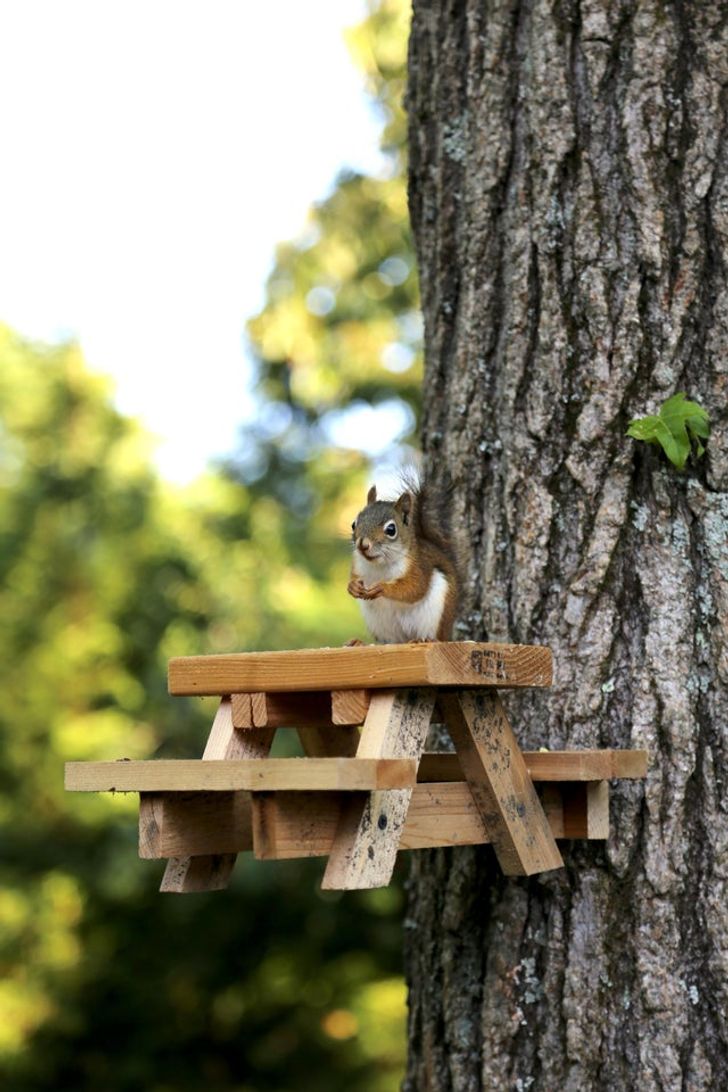 90b44154d8a07dcdde9006a906