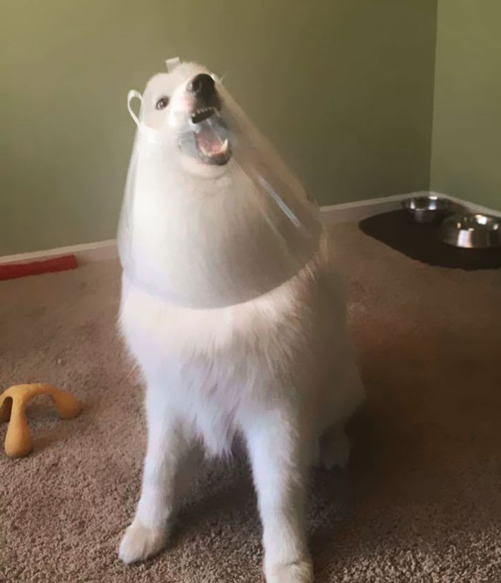 90bc605be190594fb59ca7cd67