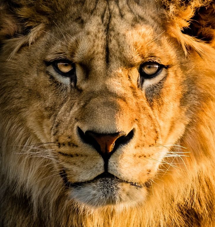 90ca295f14b00a36080652dd16