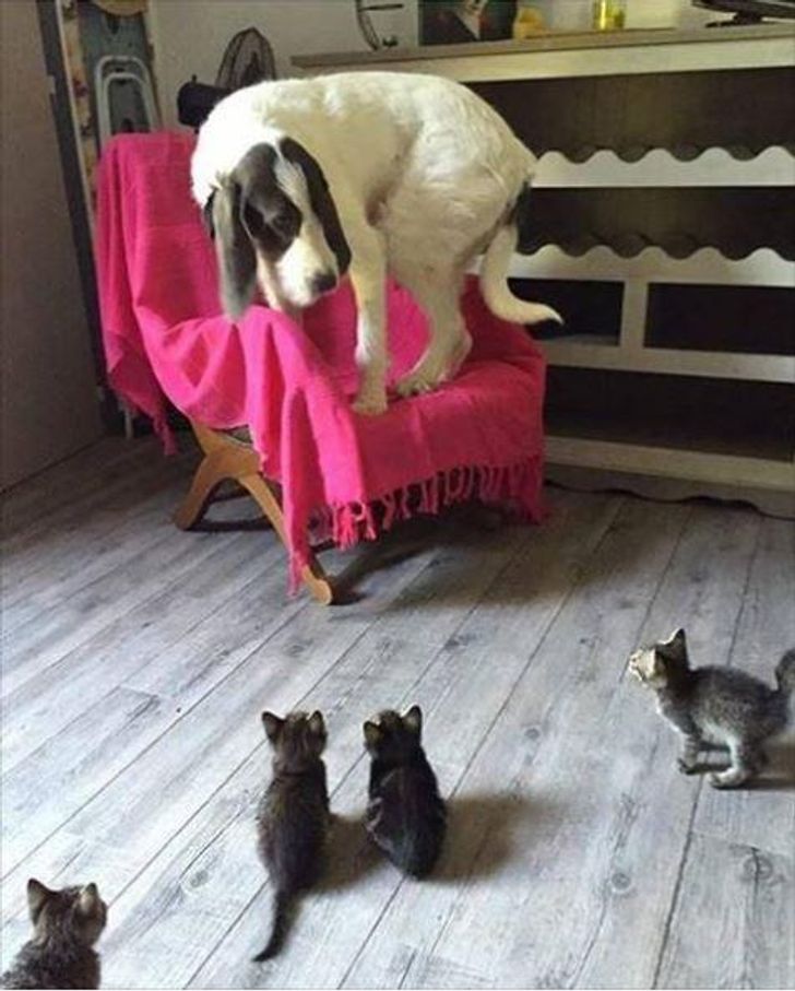 90cb995e8f9dfa84963e5654bb