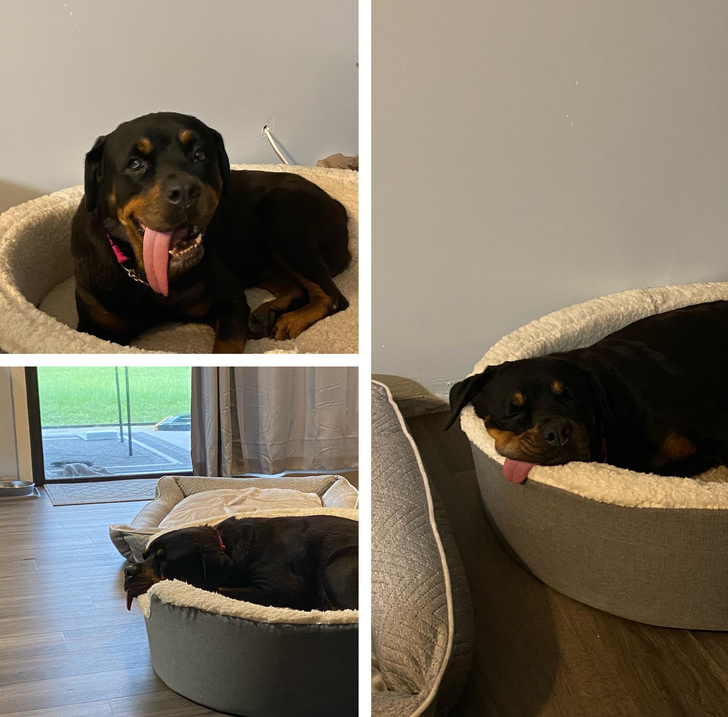 90ce425f9db0b6afc1c48866d8