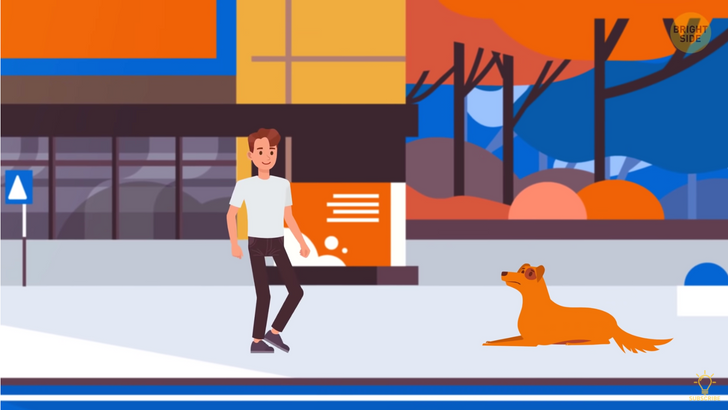 90cf915b55bbac634a5713ea74