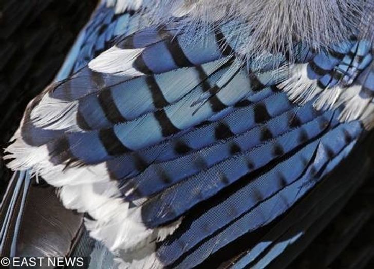 90d4c0598c9bed86ba3e545f8a