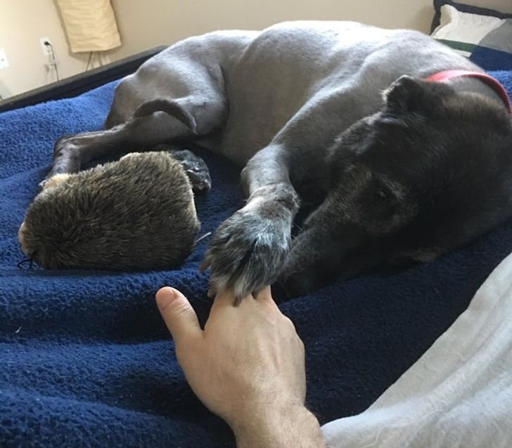 90d9405c219db32d846c399af8