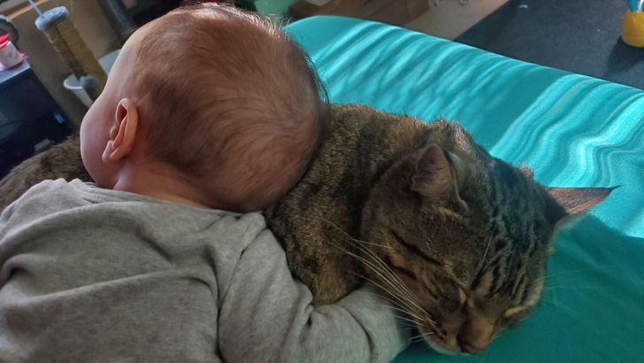 90dc9f5802b1f5441ec79e77b6