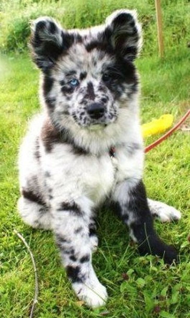 90ddf858b4bc84ffa672d76230 90ddf858b4bc84ffa672d76230