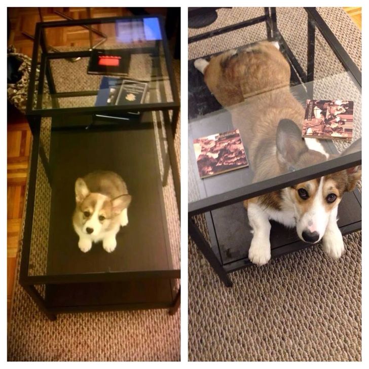 90e0c45d149dfc1cd6deebc19c