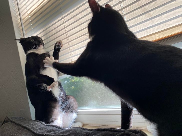 90e1a3531e9921532f1cfdabe9