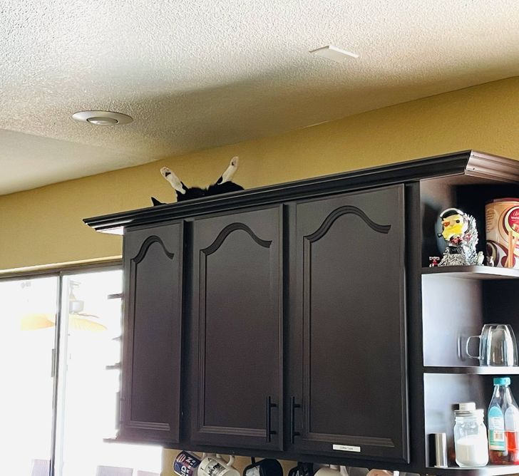 90e63e5a72a8b83033b1204d63