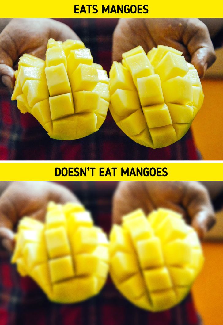 90e948561f95ee76911d48f314