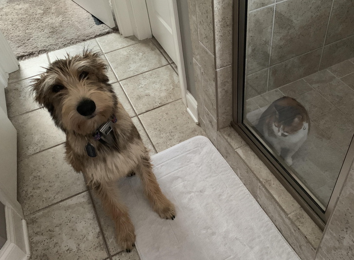 90ea365e34b6d68bada57c31b2