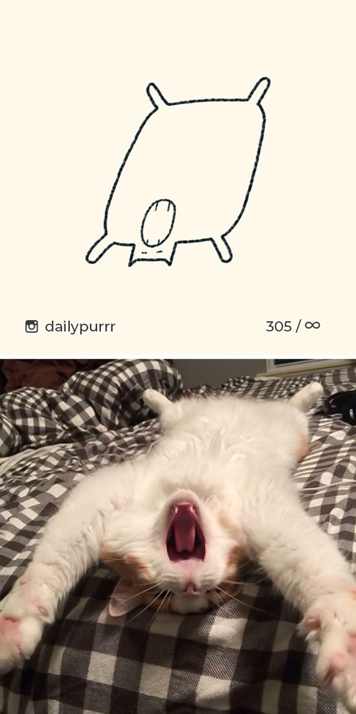 90f6445b3aa0d1e940953a1ee2