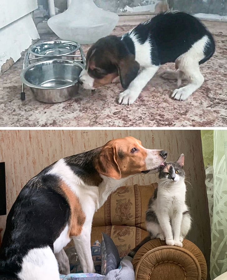 9101dd5e648e3a3b21d2cb5cc0