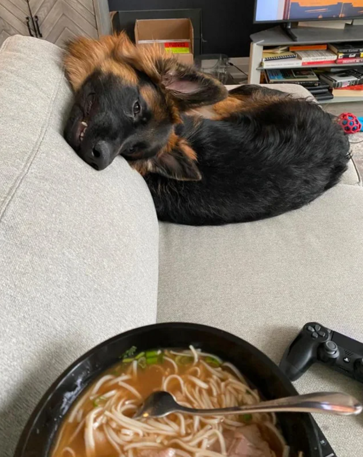 91078652baad19984001f869ae