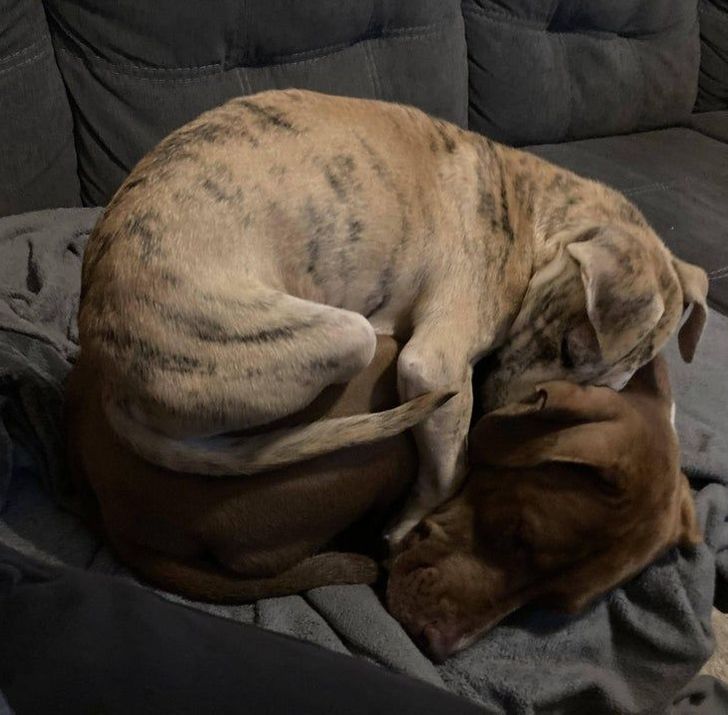 91124a5d2493255d1b4351d42f