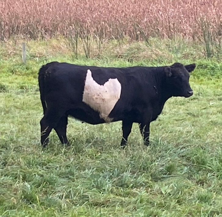 91159756ada16c353f455e9a26