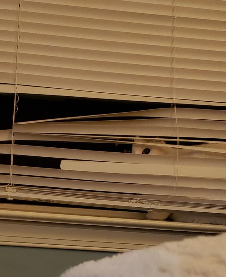 9118df502798d536a393a71b0d