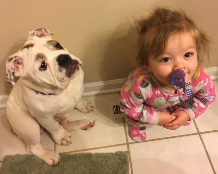 9119dd550ebe978cd23c85d5dc 9119dd550ebe978cd23c85d5dc