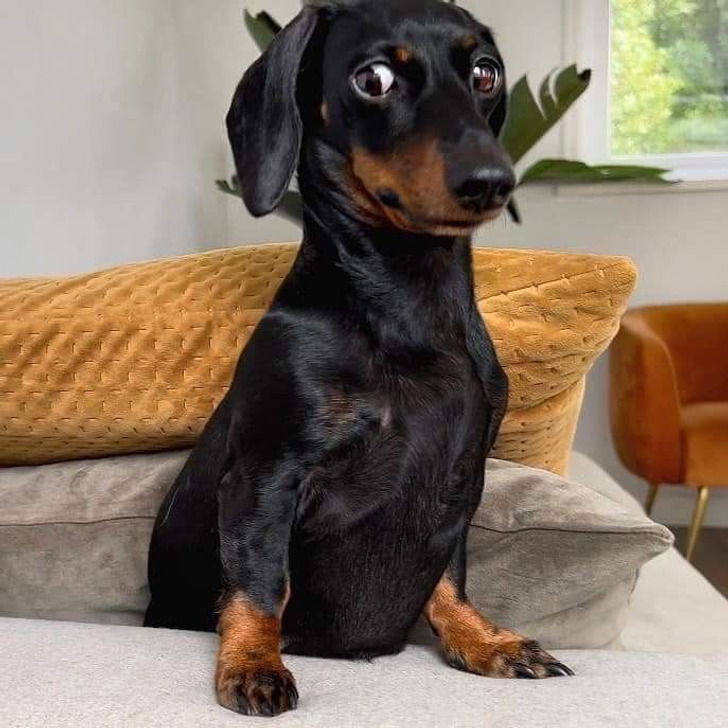 913040525e8eb771673512346c 913040525e8eb771673512346c