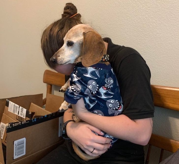 913a545a4aa92ca9b74a708924