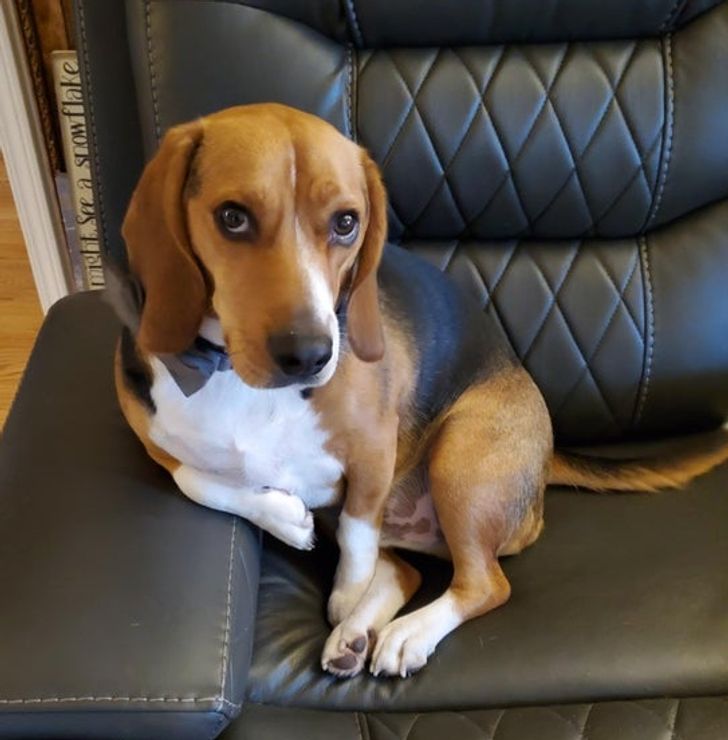 913be15d0486141f0c8461a955