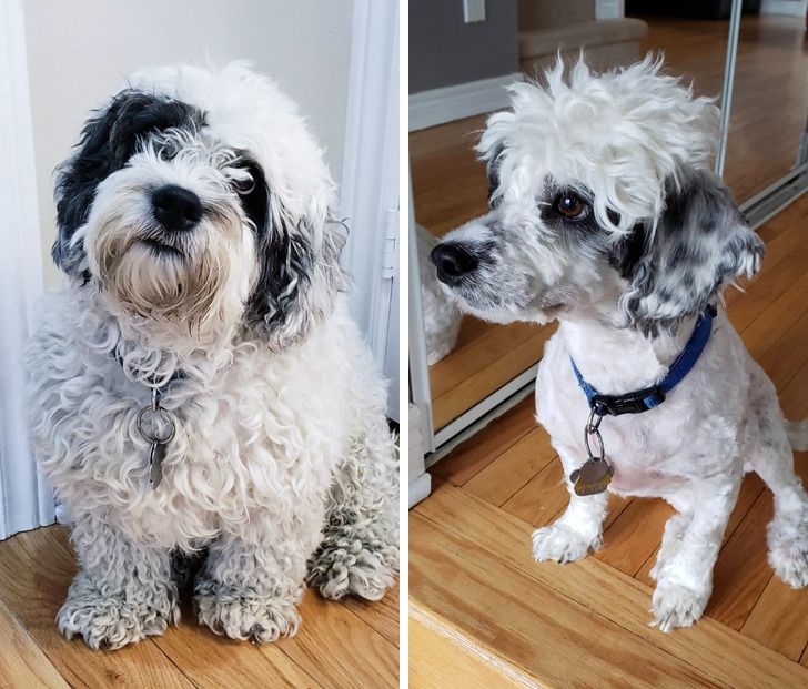 915a525ba5b007c8eeb88224fb