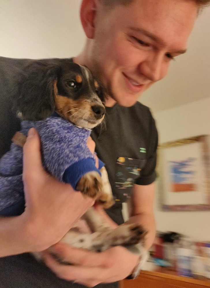 91710851a7ade8cd0782d01414