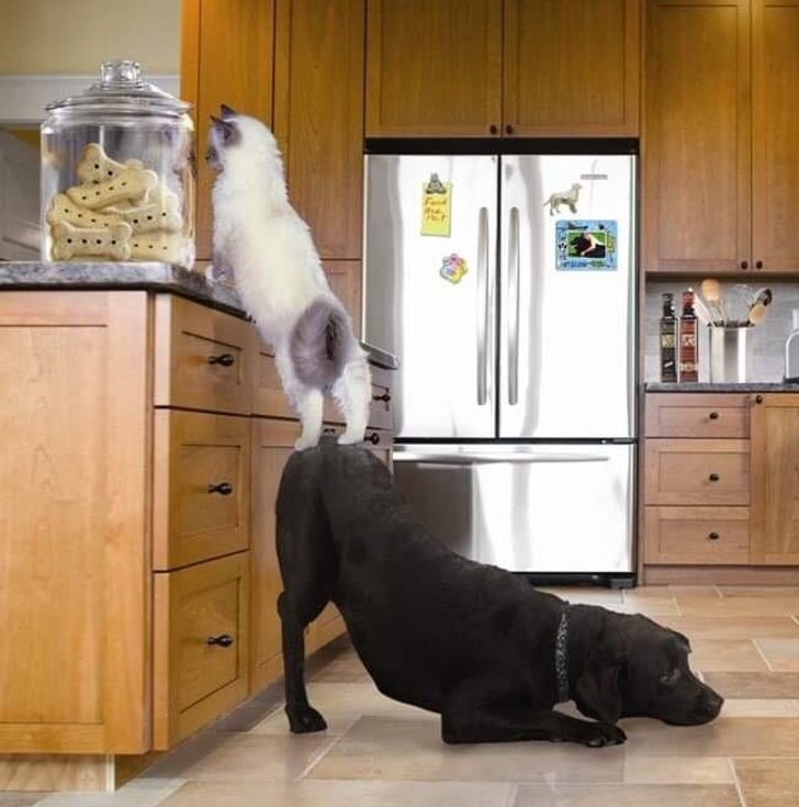 9174b2560f8f50a7a86b50923e