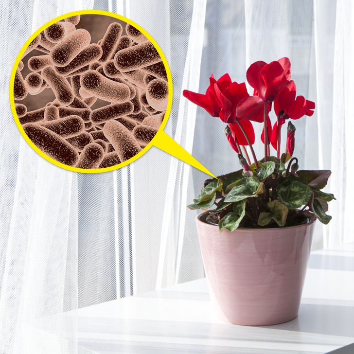 917a2354049111a4510e66d86d