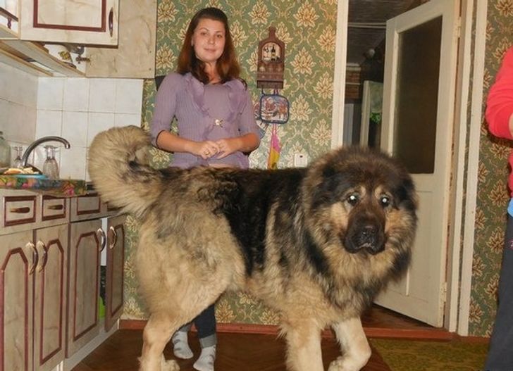 918bed5939afbc57a18f1812b5