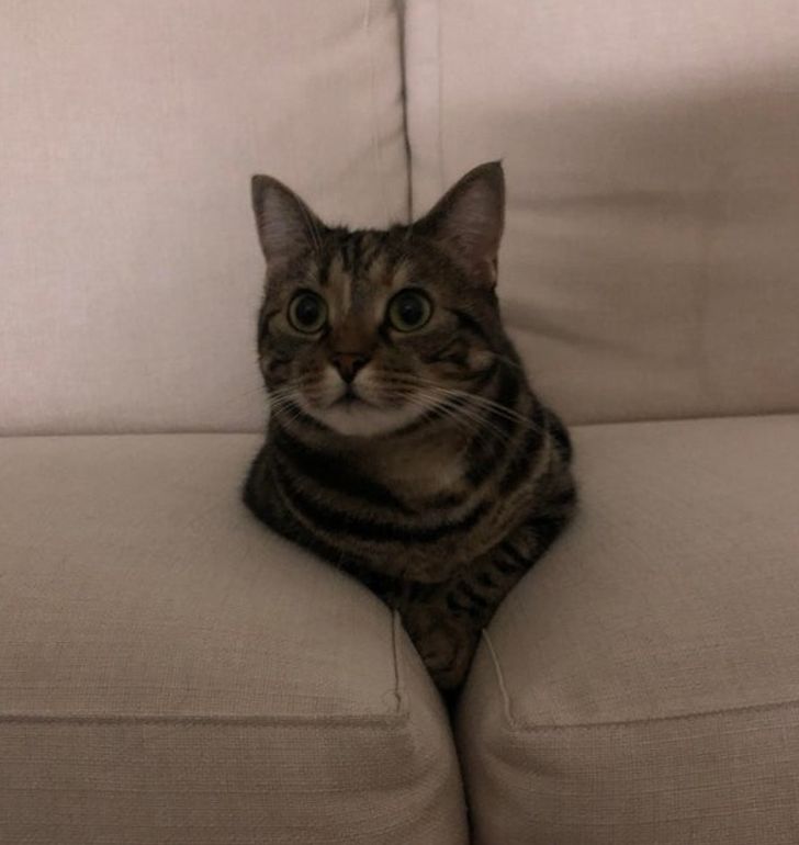 918e3f5c31a769521d67ff95a0