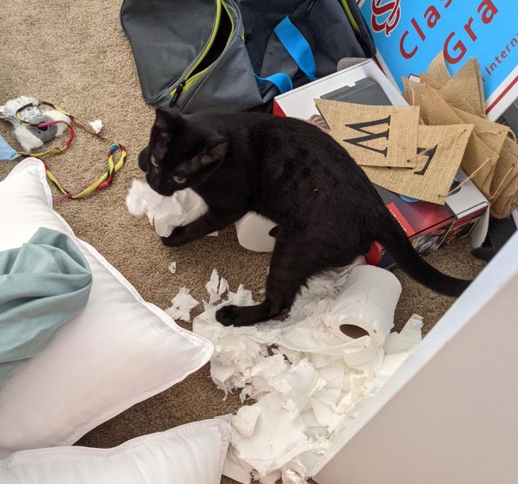 918e7257698f9db9eaabb08042