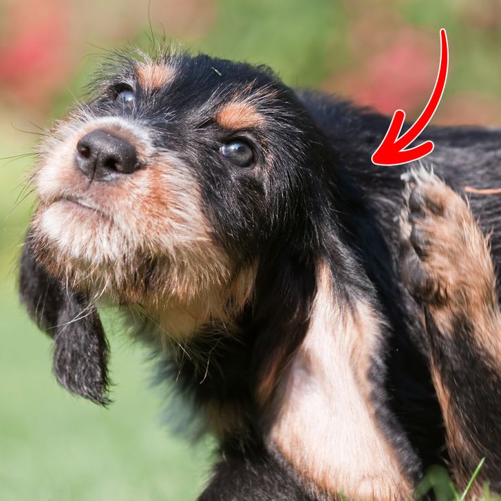 9199675922ae002485fdc473a1