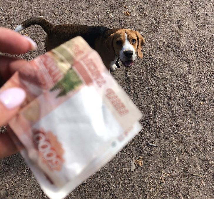 91a2e059f29e5aa2017db19dca