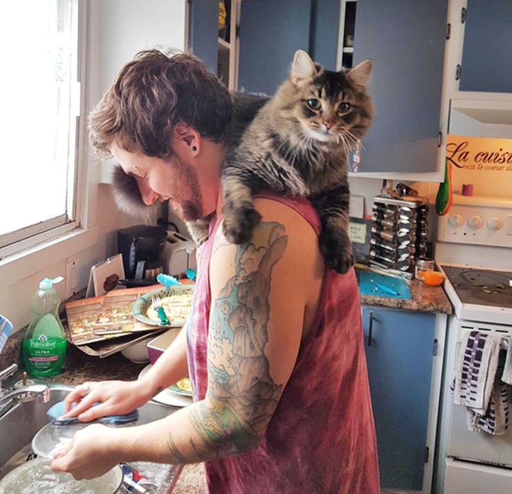 91a3d7569e8a4e352b13c2fcf6